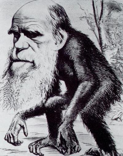 Teoria ewolucji